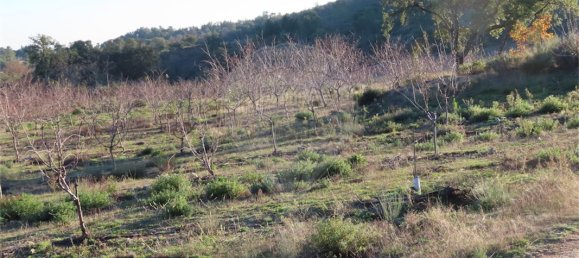 9 Schlafzimmer Haus in Fundao, Portugal, Nr. 63150 48