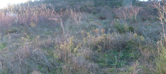 9 Schlafzimmer Haus in Fundao, Portugal, Nr. 63150 20