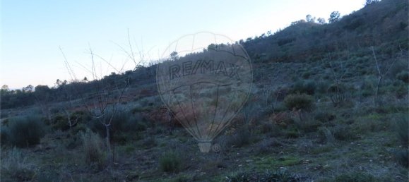 9 Schlafzimmer Haus in Fundao, Portugal, Nr. 63150 39