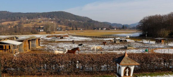  Land in Keutschach am See, Austria No. 36701 4