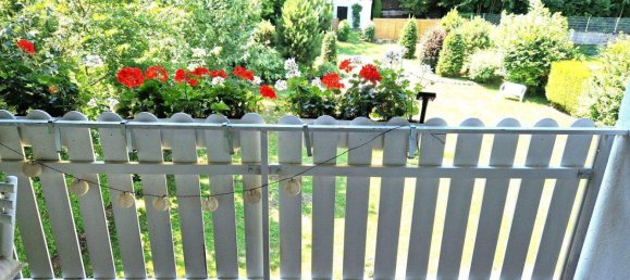 5 rooms House in Kirchschlag in der Buckligen Welt, Austria No. 246071 13