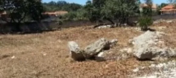 1240m² Land in Turquel, Portugal No. 63062 3
