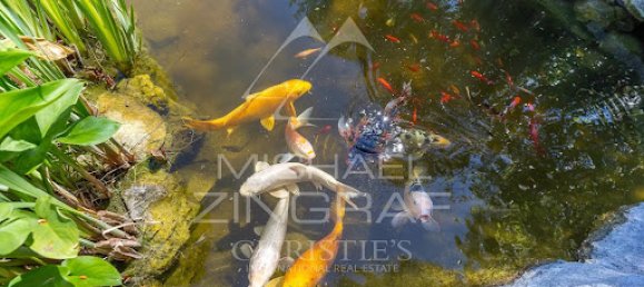 8 bedrooms Villa in Antibes, France No. 247297 24