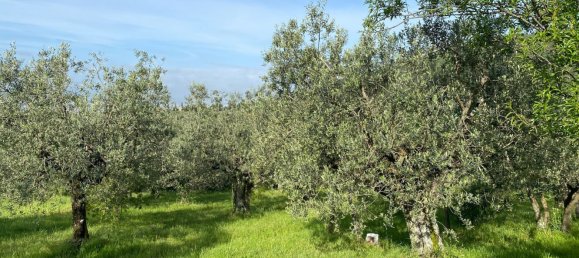 Terrain à Calenzano, Italy 4540m² No. 257100 5