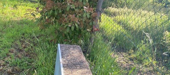 Terrain à Calenzano, Italy 4540m² No. 257100 3