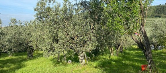 Terrain à Calenzano, Italy 4540m² No. 257100 10