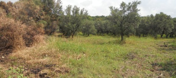 Grundstück in Gizzeria, Italy 1836m², Nr. 99819 6