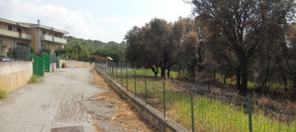 Grundstück in Gizzeria, Italy 1836m², Nr. 99819 2