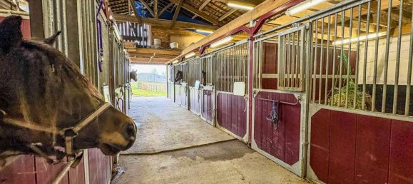 3 Schlafzimmer Schlösser in Villeneuve-sur-Lot, France, Nr. 321079 10