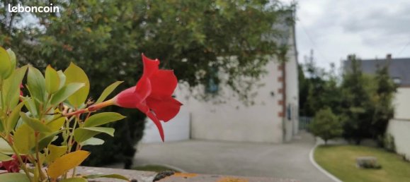 4 Schlafzimmer Haus in Argent-sur-Sauldre, France, Nr. 231947 14