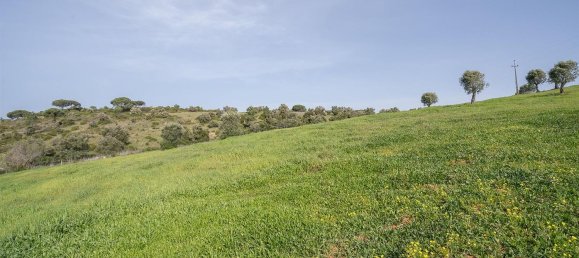 3 bedrooms Castles in Santiago do Cacem, Portugal No. 164651 30