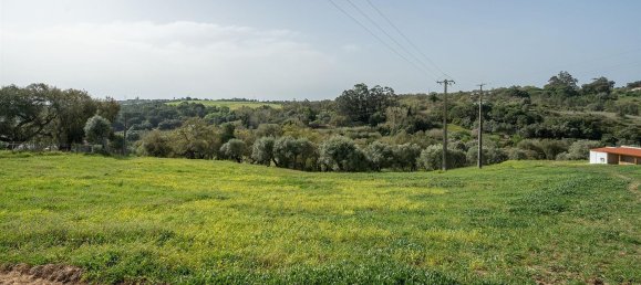 3 bedrooms Castles in Santiago do Cacem, Portugal No. 164651 26