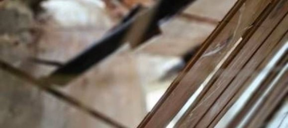 3 rooms Apartment in Vejano, Italy No. 203956 13