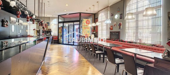 Gewerbliche Immobilie in Village-Neuf, France 565m², Nr. 59202 5