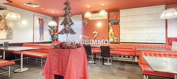 Gewerbliche Immobilie in Village-Neuf, France 565m², Nr. 59202 10