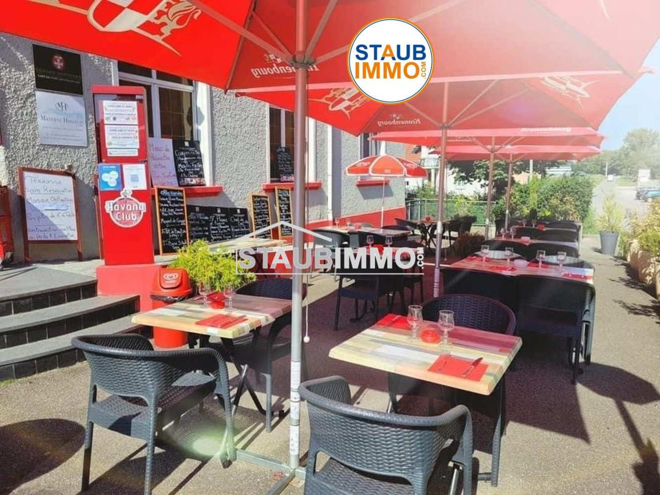 Gewerbliche Immobilie in Village-Neuf, France 565m², Nr. 59202