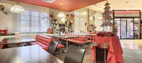 Gewerbliche Immobilie in Village-Neuf, France 565m², Nr. 59202 8