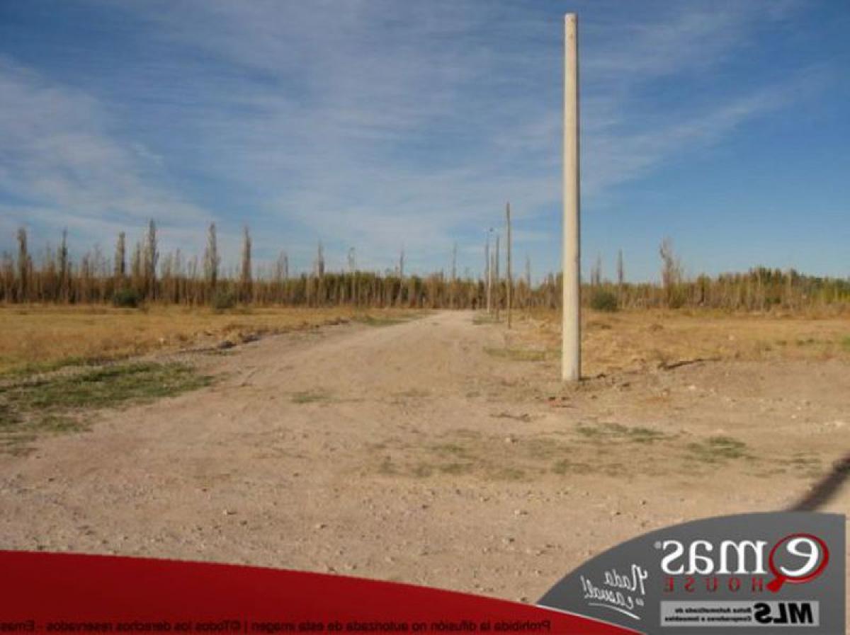  Land in Neuquen, Argentina No. 44261