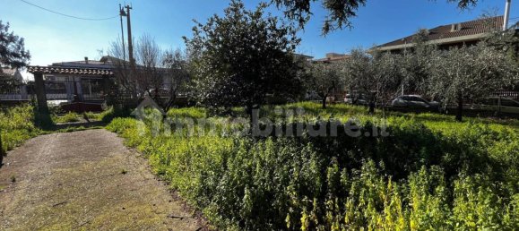 Grundstück in Ciampino, Italy 1800m², Nr. 198556 5