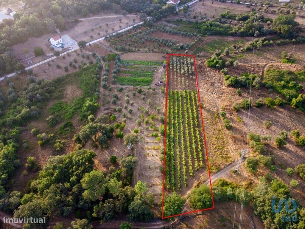 3000m² Land in Ferreira do Zezere, Portugal No. 254804