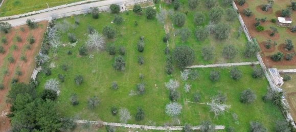 2 bedrooms Villa in Salve, Italy No. 59690 3