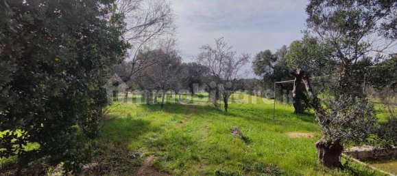 2 bedrooms Villa in Salve, Italy No. 59690 12