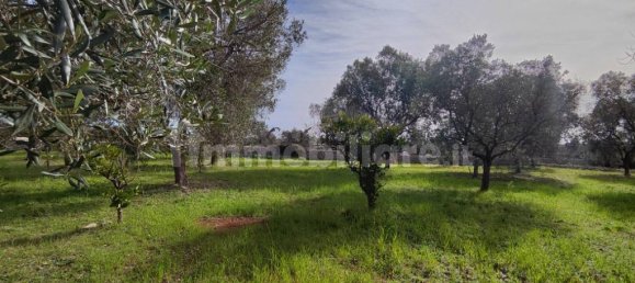 2 bedrooms Villa in Salve, Italy No. 59690 8