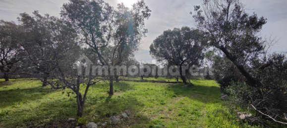 2 bedrooms Villa in Salve, Italy No. 59690 7