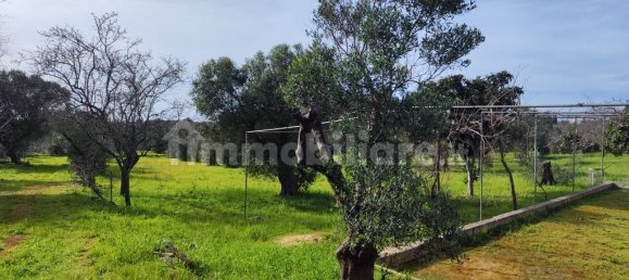 2 bedrooms Villa in Salve, Italy No. 59690 5