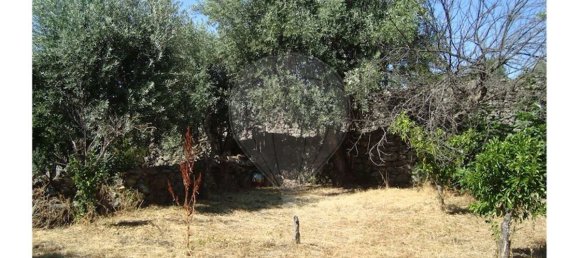 1 bedroom House in Oledo, Portugal No. 32018 19