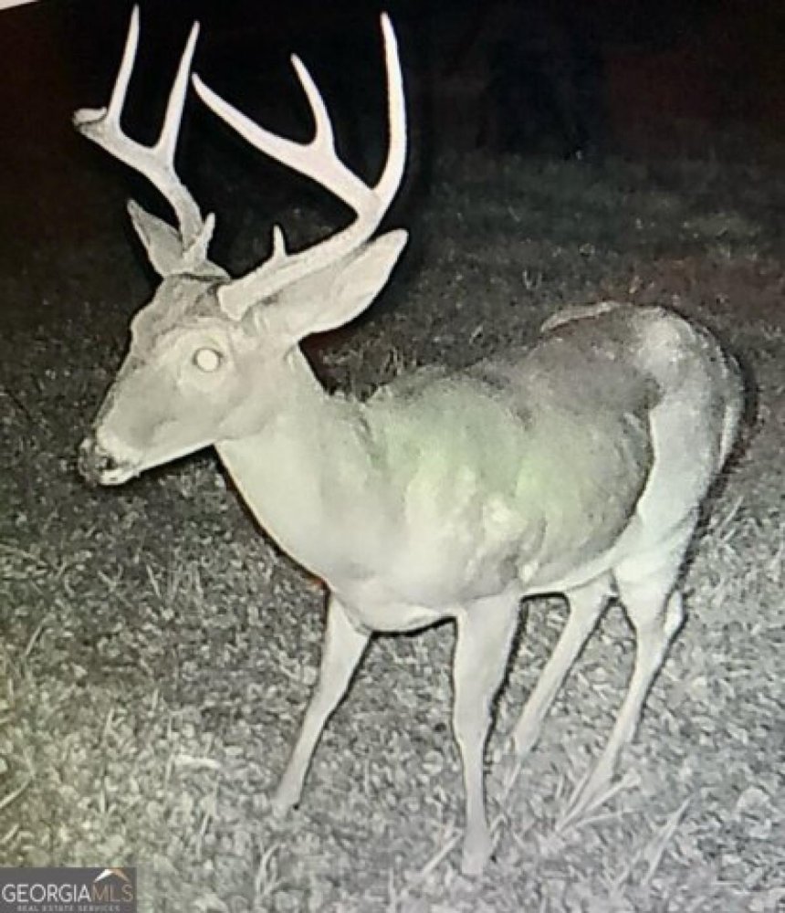  Land in Whigham, USA No. 539682