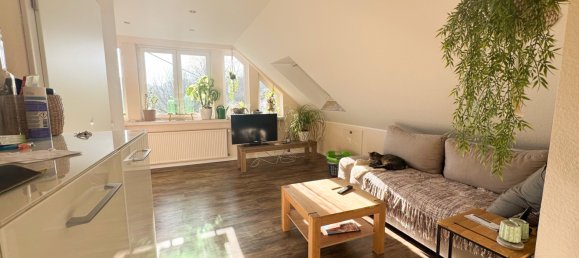 Granja de 12 habitaciónes en Rhein-Sieg, Germany No. 138385 15