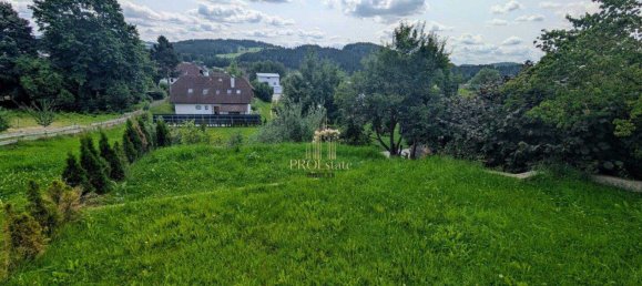 4-salle Maison de ville à Haslach an der Muhl, Austria No. 242446 9