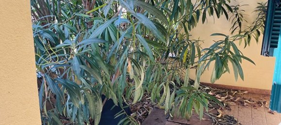 2 bedrooms Apartment in Magliano in Toscana, Italy No. 353141 13