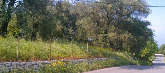 4 bedrooms Commercial property in Corfu, Greece No. 7933 8