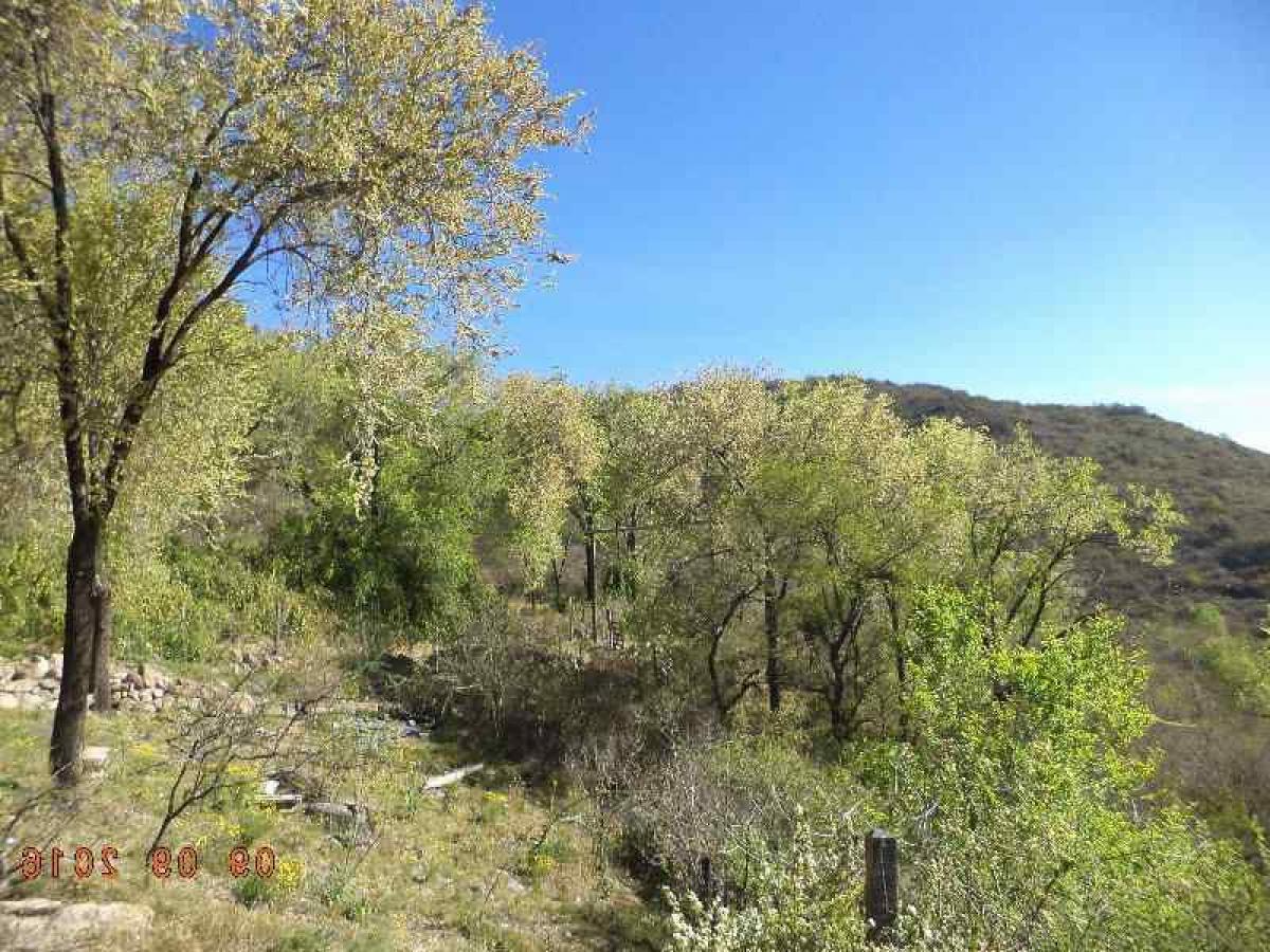  Land in Cordoba, Argentina No. 46093