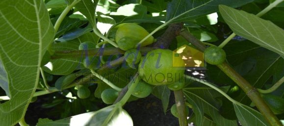 Вилла с 2 спальнями в Бертиноро, Италия № 278173 41