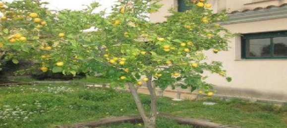 1 bedroom House in Esparreguera, Spain No. 171945 8