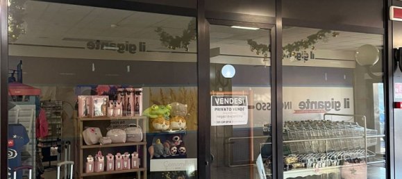 40m² Commercial property in Rho, Italy No. 82594 18