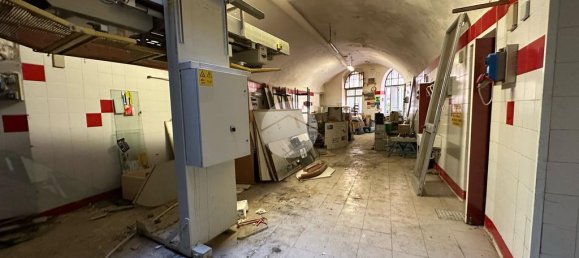 4-Zimmer Gewerbliche Immobilie in Arenzano, Italy, Nr. 144701 9