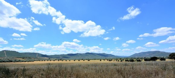 4 bedrooms House in Piedrabuena, Spain No. 69037 27