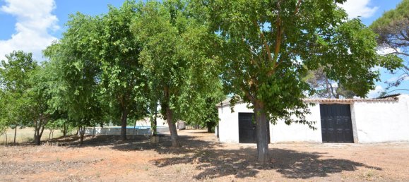 4 bedrooms House in Piedrabuena, Spain No. 69037 25