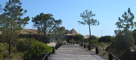 7 bedrooms Villa in Grandola, Portugal No. 142837 19