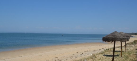 7 bedrooms Villa in Grandola, Portugal No. 142837 32