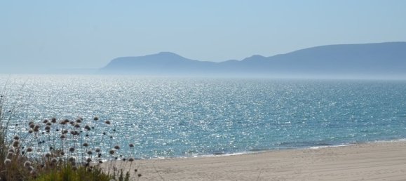 7 bedrooms Villa in Grandola, Portugal No. 142837 18