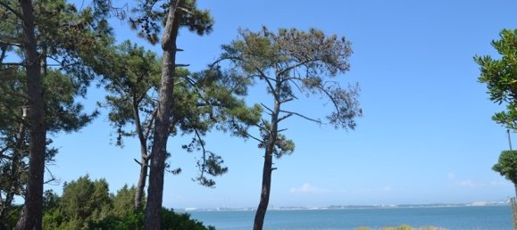 7 bedrooms Villa in Grandola, Portugal No. 142837 2