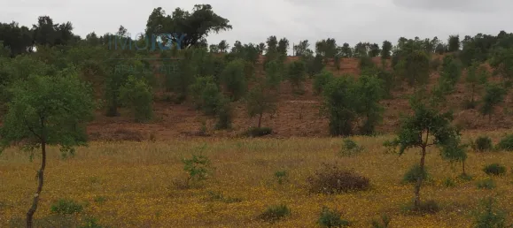  قطعة أرض في Santiago do Cacem, Portugal رقم 89754 2