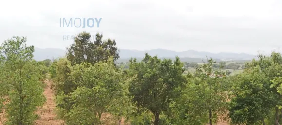  قطعة أرض في Santiago do Cacem, Portugal رقم 89754 6