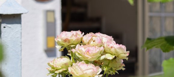 3 bedrooms Townhouse in Bamberg, Germany No. 281011 3