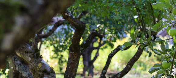 3 bedrooms Townhouse in Bamberg, Germany No. 281011 15